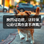 挽回成功后,这样做,让前任再也舍不得离开你(图3) 挽回成功后,这样做,让前任再也舍不得离开你(图3)