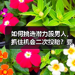 如何挑选潜力股男人，抓住机会二次投胎？要看重这3点（图4）