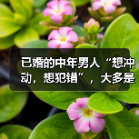 已婚的中年男人“想冲动,想犯错”,大多是这3种情况(图4) 已婚的中年男人“想冲动,想犯错”,大多是这3种情况(图4)