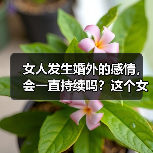 女人发生婚外的感情,会一直持续吗?这个女人实话实说出了实话(图4) 女人发生婚外的感情,会一直持续吗?这个女人实话实说出了实话(图4)