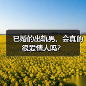 已婚的出轨男,会真的很爱情人吗?(图4) 已婚的出轨男,会真的很爱情人吗?(图4)