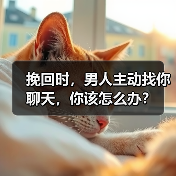 挽回时,男人主动找你聊天,你该怎么办?(图4) 挽回时,男人主动找你聊天,你该怎么办?(图4)