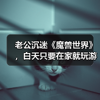 老公沉迷《魔兽世界》,白天只要在家就玩游戏,该怎么沟通解决?(图1) 老公沉迷《魔兽世界》,白天只要在家就玩游戏,该怎么沟通解决?(图1)