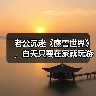老公沉迷《魔兽世界》,白天只要在家就玩游戏,该怎么沟通解决?(图3) 老公沉迷《魔兽世界》,白天只要在家就玩游戏,该怎么沟通解决?(图3)