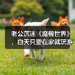 老公沉迷《魔兽世界》,白天只要在家就玩游戏,该怎么沟通解决?(图4) 老公沉迷《魔兽世界》,白天只要在家就玩游戏,该怎么沟通解决?(图4)