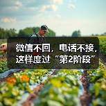 微信不回,电话不接,这样度过“第2阶段”才是高情商体现(图3) 微信不回,电话不接,这样度过“第2阶段”才是高情商体现(图3)