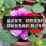 追求女生,你应该怎样回复女生说的 我过年都吃胖了!才是最好的(图3) 追求女生,你应该怎样回复女生说的 我过年都吃胖了!才是最好的(图3)