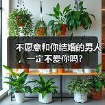 不愿意和你结婚的男人,一定不爱你吗?(图1) 不愿意和你结婚的男人,一定不爱你吗?(图1)
