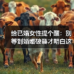 给已婚女性提个醒:别等到婚姻破裂才明白这些道理(图2) 给已婚女性提个醒:别等到婚姻破裂才明白这些道理(图2)