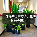 前任坚决不复合，我应该放弃吗？（图1）