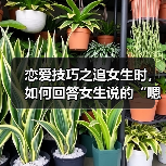 恋爱技巧之追女生时,如何回答女生说的“嗯”才是最好的呢?(图4) 恋爱技巧之追女生时,如何回答女生说的“嗯”才是最好的呢?(图4)