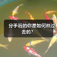 分手后的你是如何熬过去的？（图3）