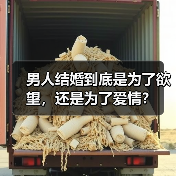 男人结婚到底是为了欲望,还是为了爱情?(图4) 男人结婚到底是为了欲望,还是为了爱情?(图4)
