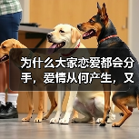 为什么大家恋爱都会分手,爱情从何产生,又是如何消逝的?(图2) 为什么大家恋爱都会分手,爱情从何产生,又是如何消逝的?(图2)
