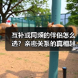 互补或同频的伴侣怎么选?亲密关系的真相越早知道越好(图1) 互补或同频的伴侣怎么选?亲密关系的真相越早知道越好(图1)