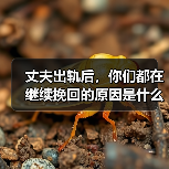 丈夫出轨后,你们都在继续挽回的原因是什么?(图3) 丈夫出轨后,你们都在继续挽回的原因是什么?(图3)