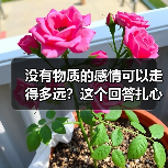 没有物质的感情可以走得多远?这个回答扎心了(图4) 没有物质的感情可以走得多远?这个回答扎心了(图4)
