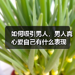 如何吸引男人,男人真心爱自己有什么表现(图1) 如何吸引男人,男人真心爱自己有什么表现(图1)