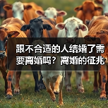 跟不合适的人结婚了需要离婚吗?离婚的征兆行为(图3) 跟不合适的人结婚了需要离婚吗?离婚的征兆行为(图3)