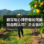 被背叛心理怪兽如何摧毁自我认同?走出苦闷指南(图2) 被背叛心理怪兽如何摧毁自我认同?走出苦闷指南(图2)