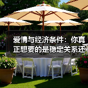 爱情与经济条件:你真正想要的是稳定关系还是浪漫?(图4) 爱情与经济条件:你真正想要的是稳定关系还是浪漫?(图4)