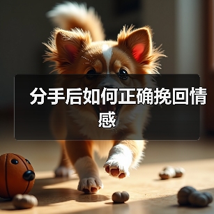 分手后如何正确挽回情感(图3) 分手后如何正确挽回情感(图3)