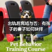 出轨后离婚与否:有孩子的妻子如何抉择(图2) 出轨后离婚与否:有孩子的妻子如何抉择(图2)