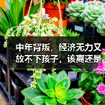 中年背叛,经济无力又放不下孩子,该离还是不离?(图1) 中年背叛,经济无力又放不下孩子,该离还是不离?(图1)