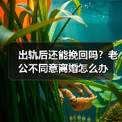 出轨后还能挽回吗?老公不同意离婚怎么办(图1) 出轨后还能挽回吗?老公不同意离婚怎么办(图1)