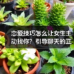 恋爱技巧怎么让女生主动找你?引导聊天的正确方法(图2) 恋爱技巧怎么让女生主动找你?引导聊天的正确方法(图2)