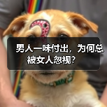 男人一味付出，为何总被女人忽视？（图1）