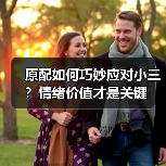 原配如何巧妙应对小三?情绪价值才是关键(图4) 原配如何巧妙应对小三?情绪价值才是关键(图4)