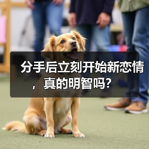 分手后立刻开始新恋情,真的明智吗?(图4) 分手后立刻开始新恋情,真的明智吗?(图4)