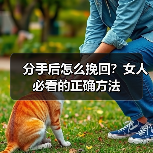 分手后怎么挽回?女人必看的正确方法(图1) 分手后怎么挽回?女人必看的正确方法(图1)
