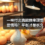 一味付出真能换来理想爱情吗?平衡才是长久之道(图3) 一味付出真能换来理想爱情吗?平衡才是长久之道(图3)