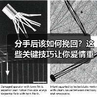 分手后该如何挽回？这些关键技巧让你爱情重燃（图2）
