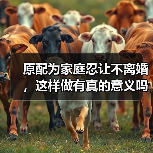 原配为家庭忍让不离婚，这样做有真的意义吗？