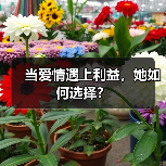 当爱情遇上利益，她如何选择？（图2）