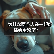 为什么两个人在一起感情会变淡了?(图3) 为什么两个人在一起感情会变淡了?(图3)