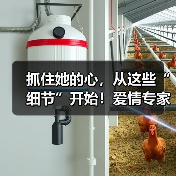 抓住她的心,从这些“细节”开始!爱情专家教你如何留住女人!(图3) 抓住她的心,从这些“细节”开始!爱情专家教你如何留住女人!(图3)