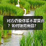 对方仍爱你却不愿复合?如何破局挽回?(图3) 对方仍爱你却不愿复合?如何破局挽回?(图3)