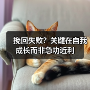 挽回失败?关键在自我成长而非急功近利(图2) 挽回失败?关键在自我成长而非急功近利(图2)