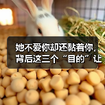 她不爱你却还黏着你,背后这三个“目的”让人意外!(图1) 她不爱你却还黏着你,背后这三个“目的”让人意外!(图1)