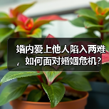 婚内爱上他人陷入两难,如何面对婚姻危机?(图3) 婚内爱上他人陷入两难,如何面对婚姻危机?(图3)