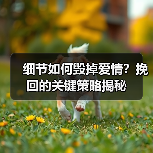 细节如何毁掉爱情?挽回的关键策略揭秘(图2) 细节如何毁掉爱情?挽回的关键策略揭秘(图2)