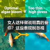 女人这样做说明真的爱你?这些表现别忽视(图4) 女人这样做说明真的爱你?这些表现别忽视(图4)