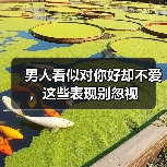 男人看似对你好却不爱,这些表现别忽视(图4) 男人看似对你好却不爱,这些表现别忽视(图4)