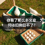 你看了那么多文章,为何依旧挽回不了?(图1) 你看了那么多文章,为何依旧挽回不了?(图1)