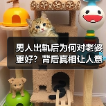 男人出轨后为何对老婆更好？背后真相让人意想不到（图1）