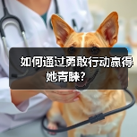如何通过勇敢行动赢得她青睐?(图2) 如何通过勇敢行动赢得她青睐?(图2)